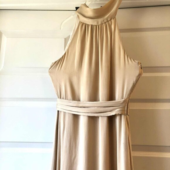 SACHIN & BABI Kayla Gown Tie Neck Crinkle Maxi Dress Champagne 8 MSRP $300 - Picture 6 of 12